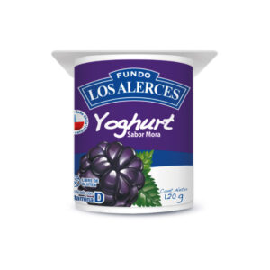 Yoghurt Mora Alerces (125 grs)